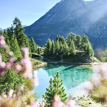 Le Raccard De Louise - Val D'herens, Valais Chalet Saint-Martin
